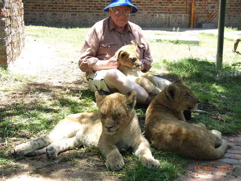 With the lion cubs