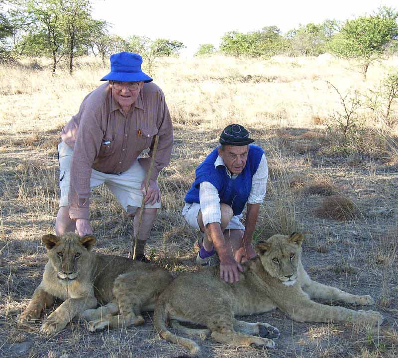 Patting the lionesses